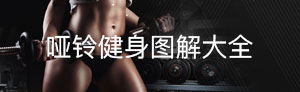 健身训练示意图