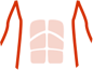 腹部