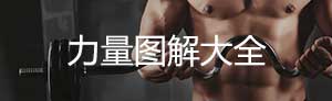 健身训练示意图